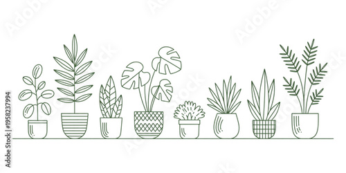 A collection of various indoor houseplants arranged in a row with different decorative plant pots Vector