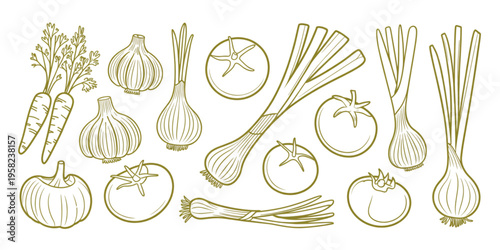 A collection of hand drawn organic garden vegetables including carrots garlic onions and tomatoes Vector