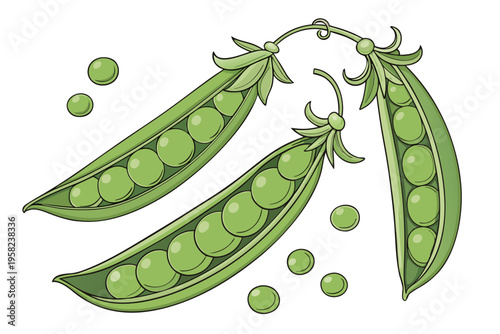 A vector graphic illustration of three green pea pods with peas and loose peas