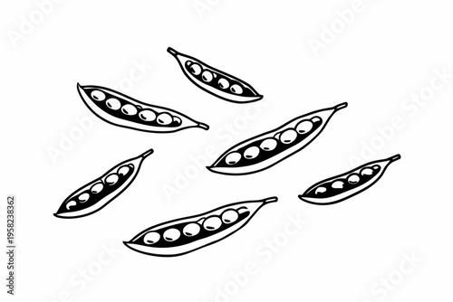 A minimalist vector illustration of peas in pods on a white background