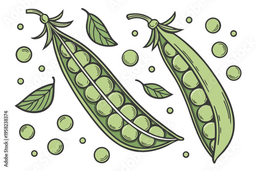 A vector graphic illustration of green peas and pea pods in a simple design