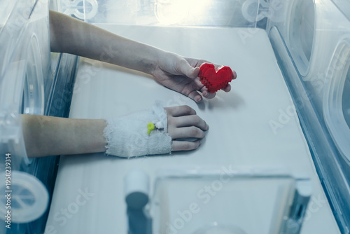 Child's Hand Holding Red Heart