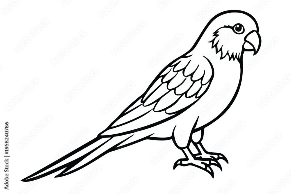 Fototapeta premium parakeet bird silhouette line art vector illustration with a white background