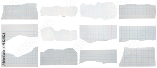 Photos Collection of various torn paper pieces, including graph paper and ruled notebook sheets