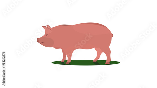 pig body, flat color vector illustration