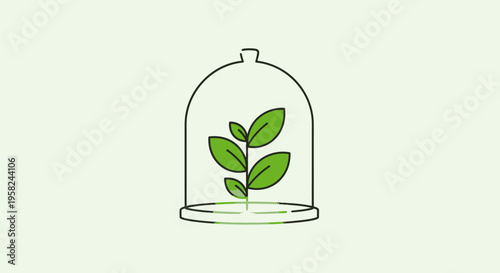 Small plant under glass cloche cover.