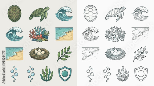 Collection of marine life and coastal elements, including sea turtles, coral, waves, nests, and shields, presented in both color and monochrome line art styles.