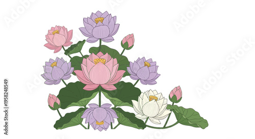 Elegant Lotus Flower Arrangement - Pink, Purple, White Blooms with Green Leaves