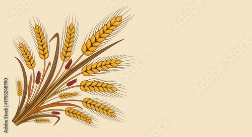 Golden Wheat Ears Bundle - Harvest Grain Illustration