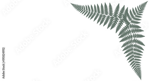 Green Fern Frond Corner Accent