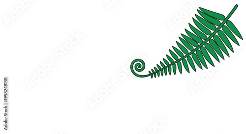 Green fern frond unfurling in spiral shape on white background