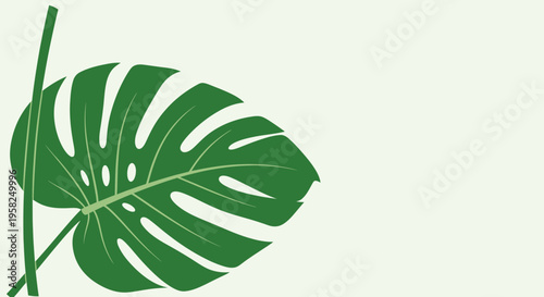 Monstera Leaf and Stem, Tropical Plant, Greenery, Minimalist Design