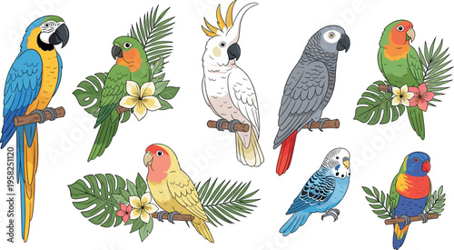 Colorful Parrot and Tropical Bird Vector Set with Exotic Feathers, Leaves, and Flowers for Wildlife, Nature, and Animal Design