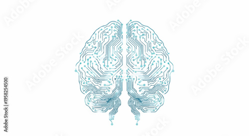 Detailed illustration of a human brain with intricate neural connections on a white background.