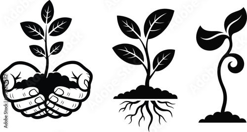 Plant growth stages vector showing seedling sprout and hand holding young plant with soil illustration, sustainable gardening concept