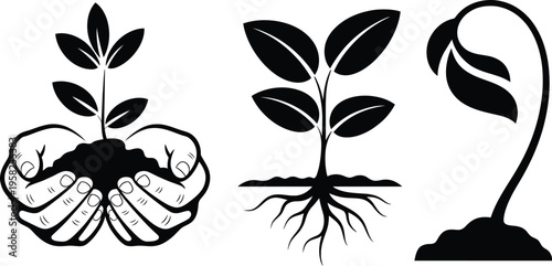 Plant growth stages vector showing seedling sprout and hand holding young plant with soil illustration, sustainable gardening concept