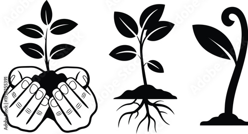 Plant growth stages vector showing seedling sprout and hand holding young plant with soil illustration, sustainable gardening concept