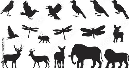 Animal bird and insect silhouettes vector collection, deer elephant lion rabbit dragonfly wildlife set, black nature shapes, flat vector illustration