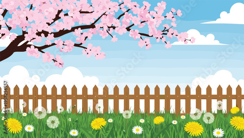 Beautiful spring garden scene with a flowering cherry blossom tree behind a wooden fence and a meadow full of dandelions.