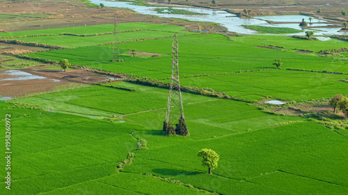 Aerial view of lush green paddy fields with irrigation channels and a power transmission tower across agricultural land in rural India