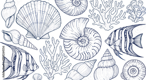 Vintage hand drawn vector collection of sea shells corals and tropical fish featuring detailed line art illustrations for nautical beach and summer theme designs.