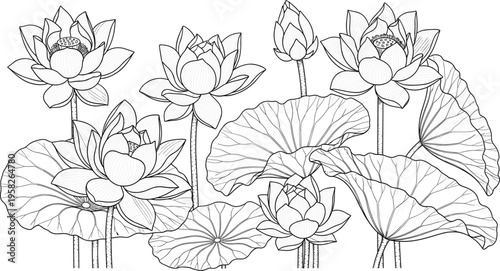 Foto Elegant hand drawn vector illustration of lotus flowers and lily pads featuring detailed black line art for spa wellness yoga and oriental nature themed designs