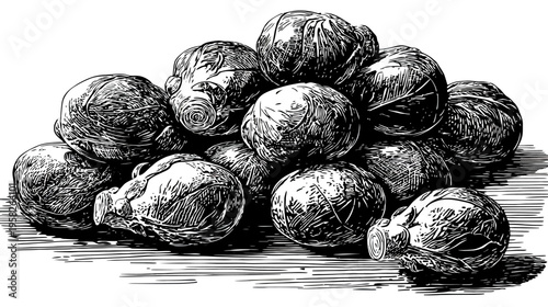 A black and white illustration shows a heap of freshly harvested brussel sprouts, shadowed