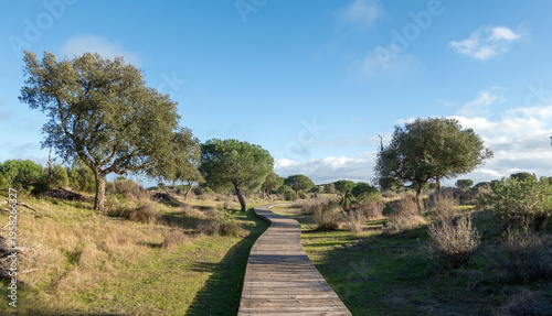 Foto Boardwalks in Doñana National Park, near the Acebuche visitor centre, Spain; the