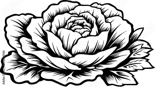 A stark, black and white illustration of a stylized, blooming flower, detailed with textured petals and leaves