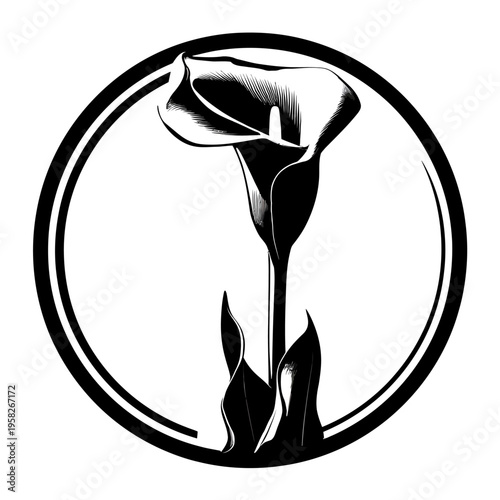 A stark black and white illustration of a calla lily enclosed within a double-lined circular frame