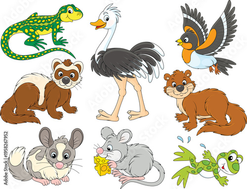 Vector cartoon set of a lizard, frog, ostrich, bramble finch, polecat, chinchilla, mouse and otter