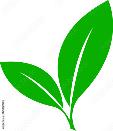 Green Leaves Symbol