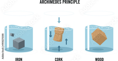 Archimedes Principle Vector Illustration Showing Buoyancy of Iron Cork and Wood in Water with Floating and Sinking Objects Physics Experiment Educational Diagram