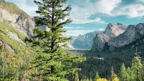 A breathtaking aerial video capturing the vast and lush beauty of the Amazon Rainforest from a bird’s-eye view. The footage showcases dense green canopies, winding rivers, and untouched wilderness str
