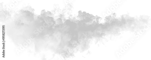 Realistic fog overlay in PNG format. Ideal for creating spooky or mysterious scenes. Drop it into your design and adjust blending.