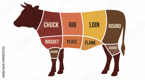 A well-organized infographic showcasing various cuts of beef. It serves as a guide for culinary education in butchery and meat preparation methods.