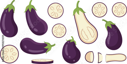 Eggplant Vector Illustration Set with Whole and Cut Aubergine, Sliced Rounds and Halves, Purple Vegetable Collection for Food Design and Cooking Graphics