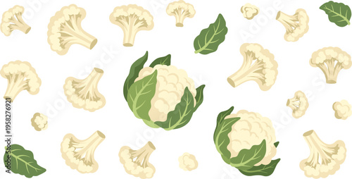 Fresh Cauliflower Vegetable Vector Set with Whole Heads, Florets, and Leaves Featuring Organic Garden Produce for Healthy Food and Nutrition Design