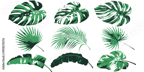 Tropical leaves vector set with monstera and palm leaves, showcasing lush green foliage in a naturalistic arrangement suitable for botanical design.