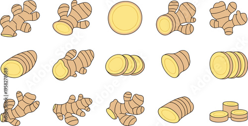 Ginger Root Vector Set with Whole Pieces, Cut Sections, and Sliced Rounds Featuring Fresh Organic Spice for Cooking, Herbal, and Food Design