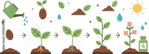 Plant Growth Stages Illustration Set with Seed Germination, Watering, Sunlight, Flowering and Organic Care Process