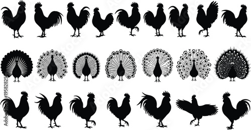 Rooster and peacock silhouettes collection, bird illustration design, ornate feather display concept, poultry and exotic bird art, animal posture graphic