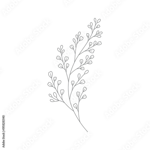 Branch Minimalist Line Art Design Element