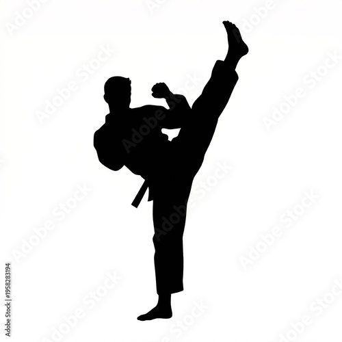 Silhouette of a martial artist performing a high side kick in a karate stance, showcasing dynamic movement and discipline.