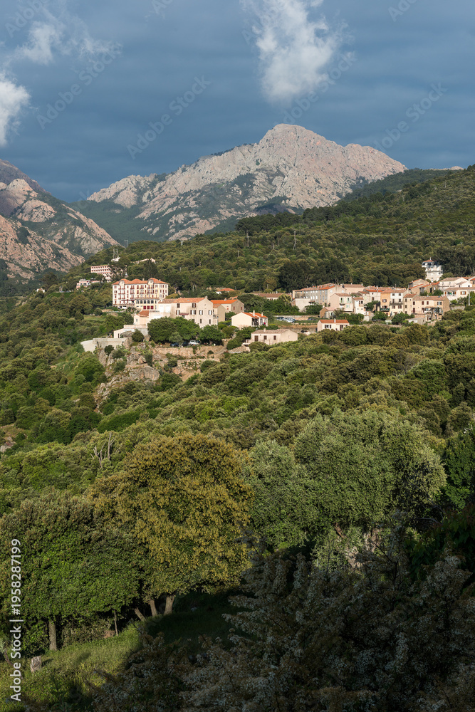Fototapeta premium CORSE - Piana - Calanches