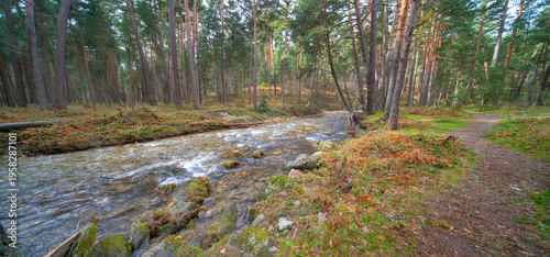 Eresma River, Valsaín Pine Forest, Sierra de Guadarrama National Park, Segovia, Castilla y León, Spain, Europe