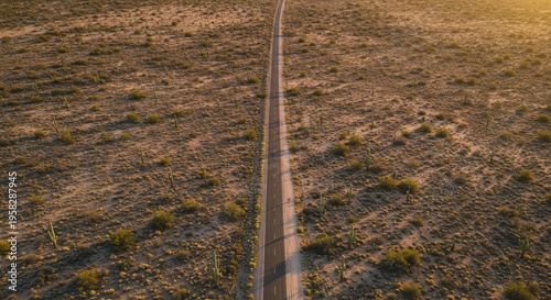 Desert Road at Sunset: Aerial View of Arizona Landscape with Saguaro Cacti