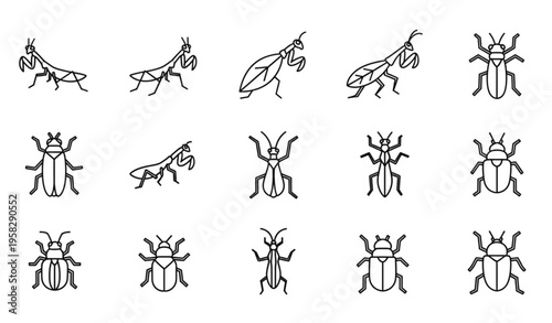 Minimal insect outline icon collection with exotic bug silhouettes isolated on transparent background