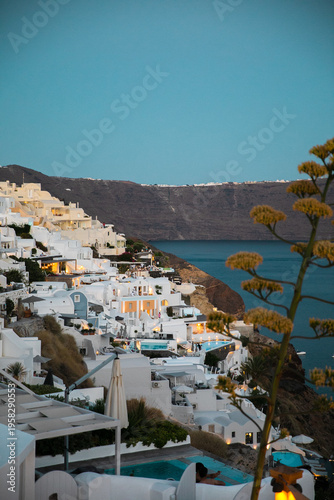 View of white buildings cascading down the hillside meeting the blue sea, a plant in the foreground adding depth to the scene, Santorini, Thira, Greece.