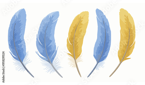 Realistic colorful feather vector set with blue and yellow bird plumes